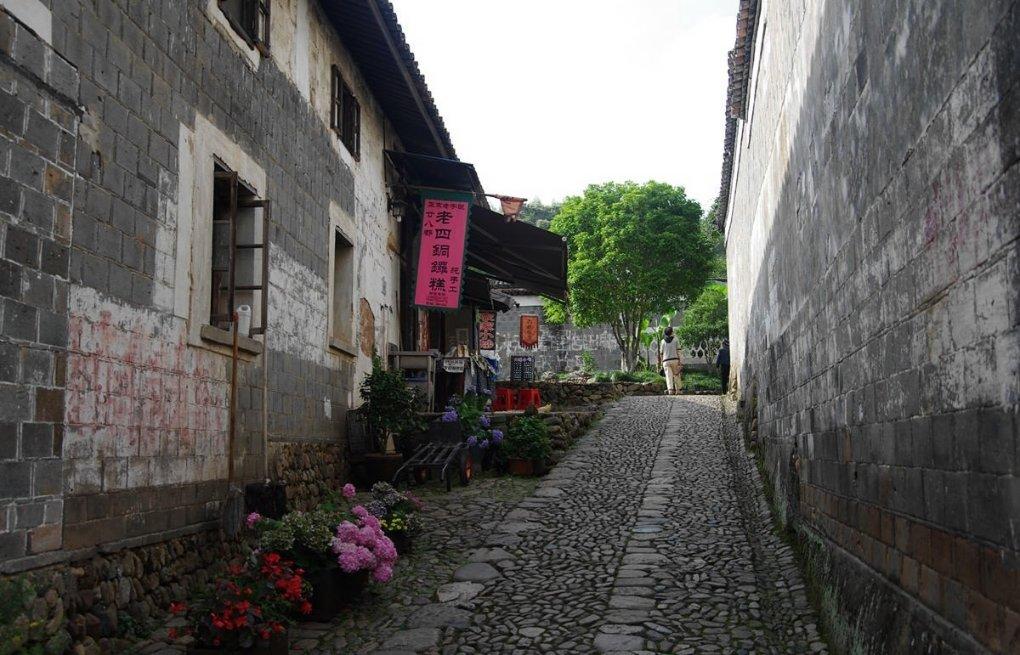 动物帮帮忙保卫家园